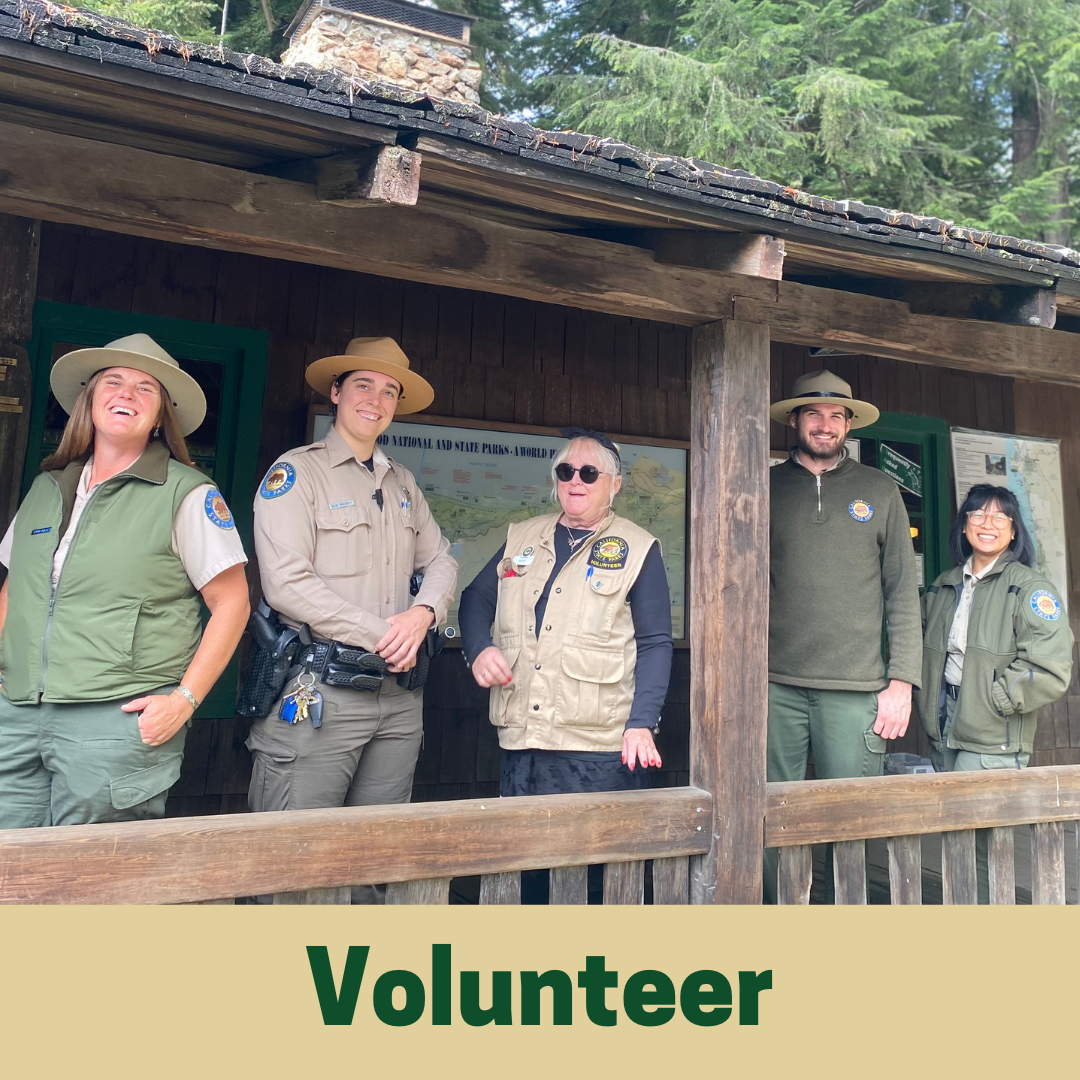 Volunteer